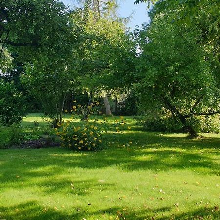 Majiga Istaba Ar Balkonu Un Vannasistaba, Bezmaksas Velo Noma Iecava Buitenkant foto